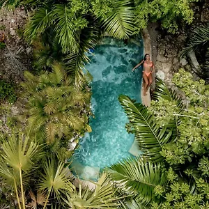 Anand Ecoaldea , Puerto Morelos Mexiko